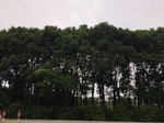 2017-09-10_06-24-51_D6E9E1B0-3053-4C26-9B03-D136CAC79334.jpg