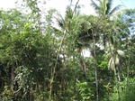 16324IMG_5100.JPG