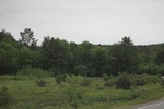 2022-06-11_17-54-33_7A90F122-460A-4734-B52C-563C4E307110.jpeg