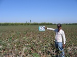 8019026-Farm land (Surface water) Cotton-a.jpg