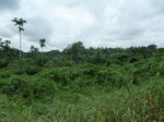 20259P1020114.JPG