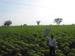 7811gt043b-croplland-rainfed-mixed-crops.jpg