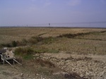 3299R0017333.JPG