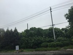 2017-09-10_08-34-34_AE8853A8-3655-4EBF-A5F2-5B186D6A2BE8.jpg