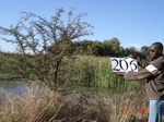 10996gt-206-wetland-peramanamt-02.jpg