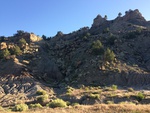 2017-05-30_08-35-43_BCECC856-78ED-4A35-9894-791AC0A6D1C7.jpg
