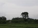 1047936-rockyoutcrop-photo-500m-away-gt36.gif