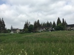 2017-09-12_12-55-30_C61844B5-FCED-4F03-991E-FD39CD659A3B.jpg