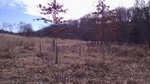 2017-02-20_21-38-03_Hildacy_20170217_Southeast.jpg