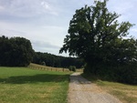 2016-07-28_10-13-29_BA565E4A-CF05-4EEE-A190-A0280D600662.jpg