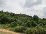 2012-09-26_20-49-26_CIMG0982.JPG