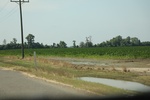 2022-05-26_14-16-11_7C42EE3D-73E0-4FF1-B613-63BD85F8F5B3.jpeg