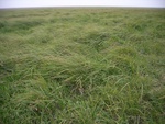 4629RIMG0060-1.JPG
