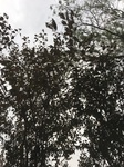 2017-09-12_10-33-56_31ED96A5-DC07-4ACA-8E0F-4E494A681007.jpg