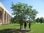 8728IMG_3895.JPG
