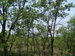 1792527042008(57).JPG