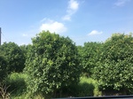 2017-09-12_13-51-01_AD2875F4-4CE1-4EEE-8D45-50A3398ECDBC.jpg
