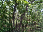 527527042008(58).JPG