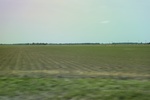 2022-06-12_15-42-55_4C929A61-0298-467A-8668-6E4A879D924D.jpeg