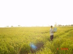 6543gt050-cropland-2.jpg