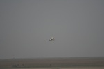 4174IMG_8812.JPG