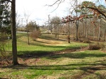 2017-02-24_13-45-38_Feb17-099-TN.jpg