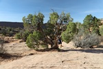 2017-05-07_17-46-59_2017-03-13 09.59.37.jpg