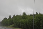 2018-04-14_14-18-38_2017-06-12 05.27.41.jpg