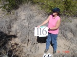 10910gt-116-wetland-dry-short-shrubs-grasses-02.jpg