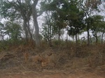 3985RIMG0289.JPG