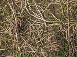 3262R0017296.JPG