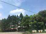 2017-09-12_13-27-28_B533062E-B9A3-449B-AF72-B70A27C3D375.jpg