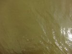 58089CIMG2383.JPG