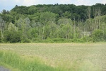 2022-06-11_18-08-21_0A2D6734-5D33-41D4-91F7-24D56ECFDA51.jpeg