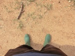 2012-09-07_10-16-18_CIMG6707.JPG