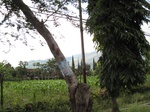 14757IMG_5149.JPG