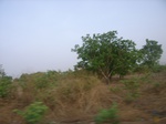 3828RIMG0132.JPG