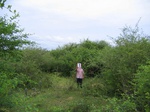 819901-shrubland-2.5mb.jpg