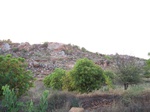524126042008(46).JPG