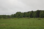 2018-04-14_14-18-46_2017-06-12 06.38.14.jpg