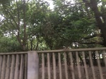2017-09-10_06-50-51_0AE087C6-07F7-44D5-9457-7BC7CBFFCACA.jpg