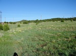 2017-06-05_14-35-23_Field Photo West May'17.JPG