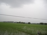 15736IMG_4823.JPG