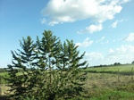 5782100_1379.JPG