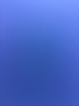 2020-11-11_11-49-33_2020-11-11-11-26-54.jpg