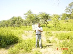 6493gt026-shrubland-forest-1.jpg