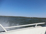 2012-09-21_14-25-55_CIMG0094.JPG