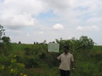 7924gt120b-cultivated-rainfed-supplemental.jpg