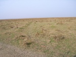 444820071119gps (34).JPG