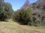2012-09-19_15-13-27_TX-LV-21-3.jpg